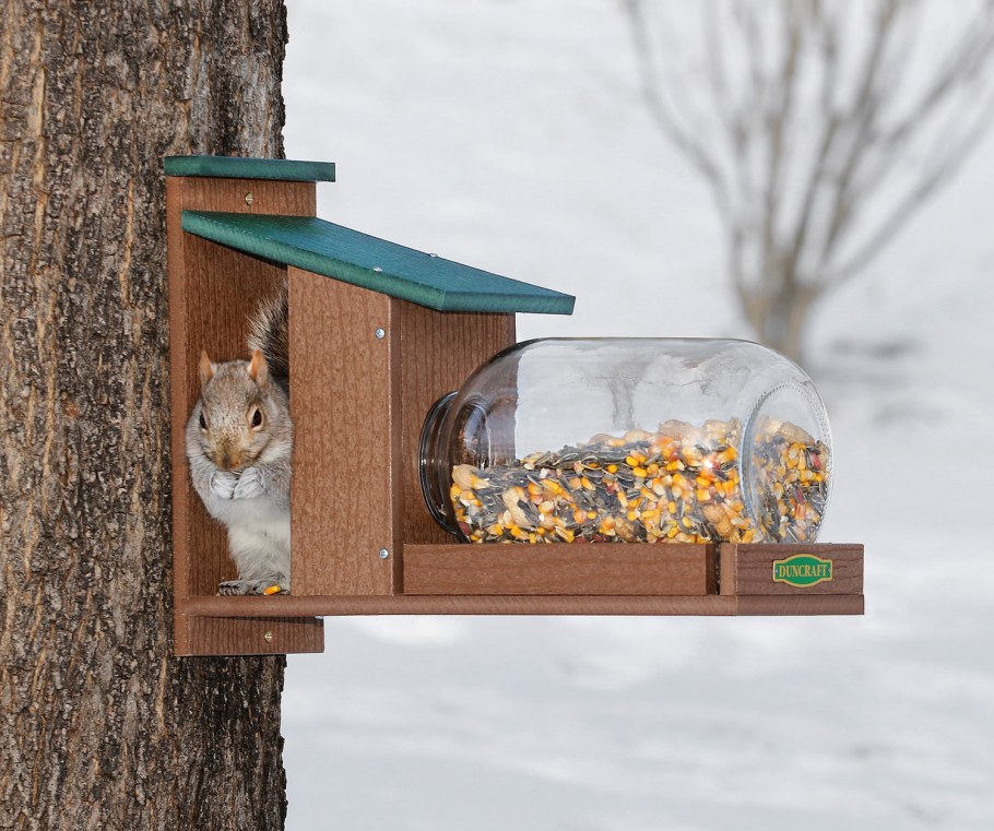 Кормушка для птиц