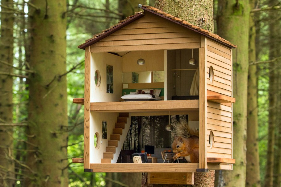 Бельчатник вольер