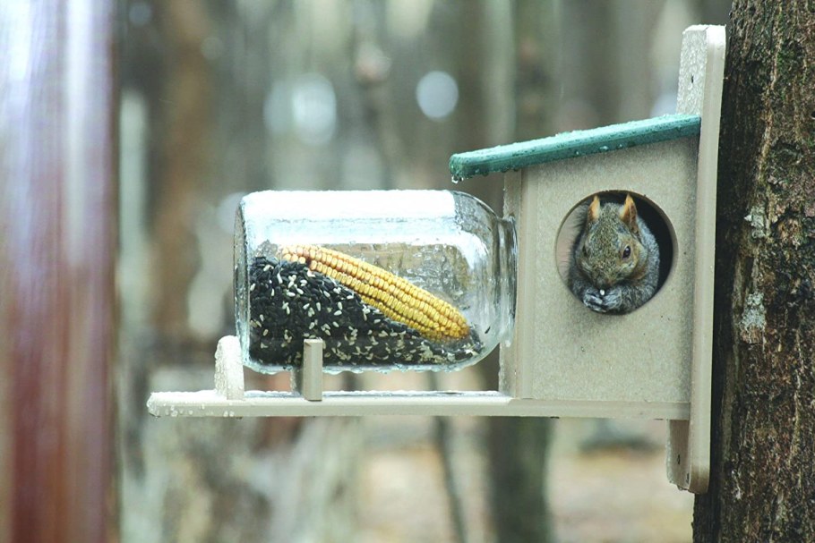 Скворечник-бельчатник "пищуха"