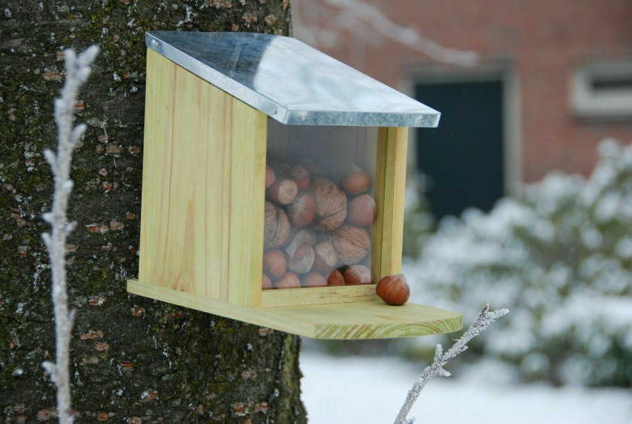 Кормушка для белок