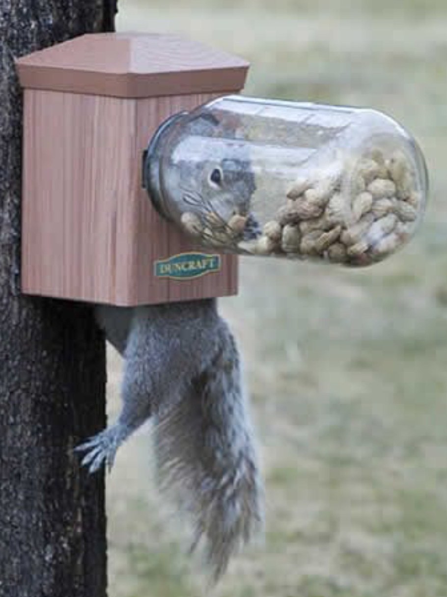 Кормушка Duncraft