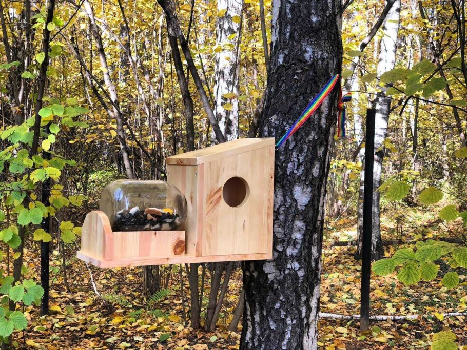 Скворечник-бельчатник "чеглок"