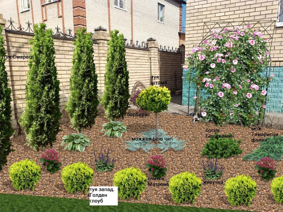 Туя Смарагд,можжевельник казацкий,Горная сосна-клумба