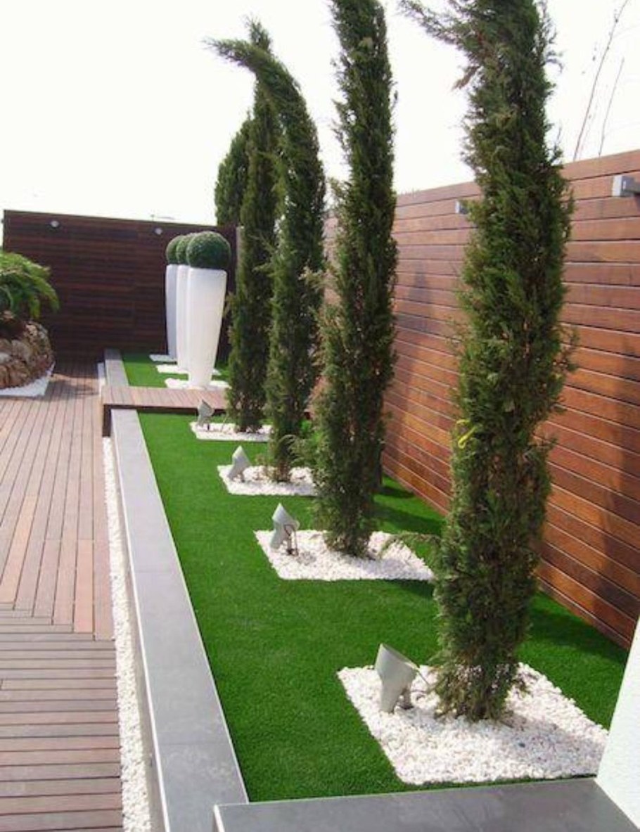 Мульчирование туи Смарагд