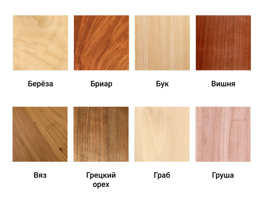 Вяз бук граб отличия