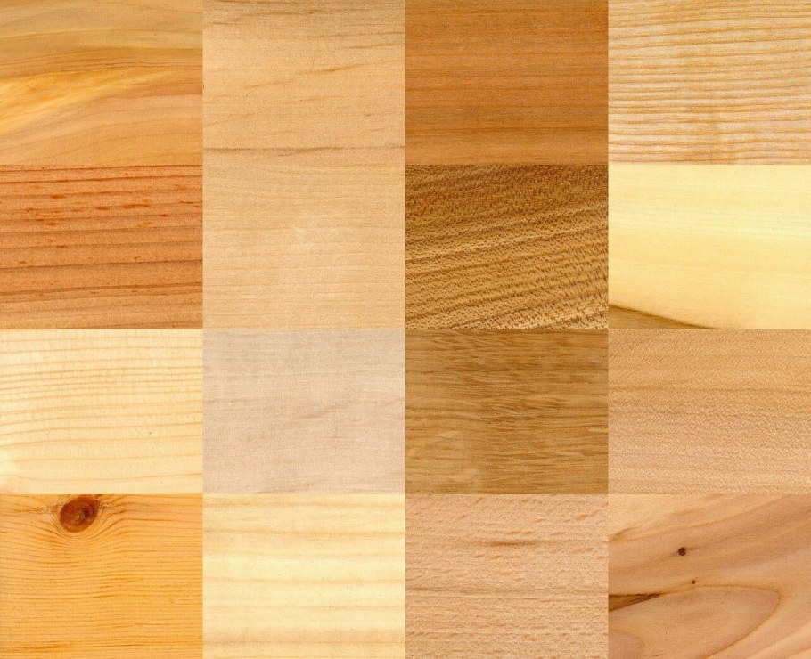 Цвет древесины