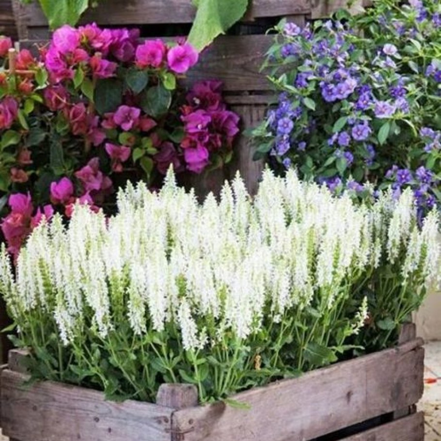 Цветы в горшках на даче