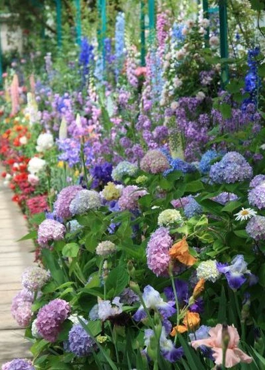 Миксбордер с дельфиниумом