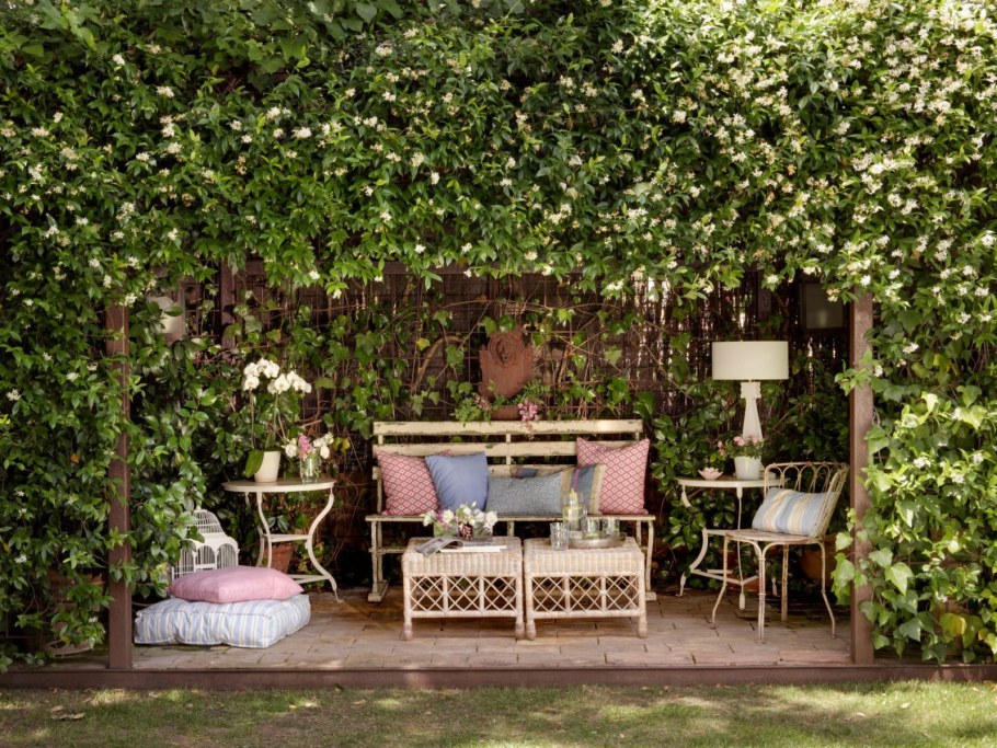 Пергола обвитая девечим виноградом