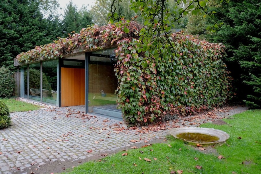 Пергола увитая плющом