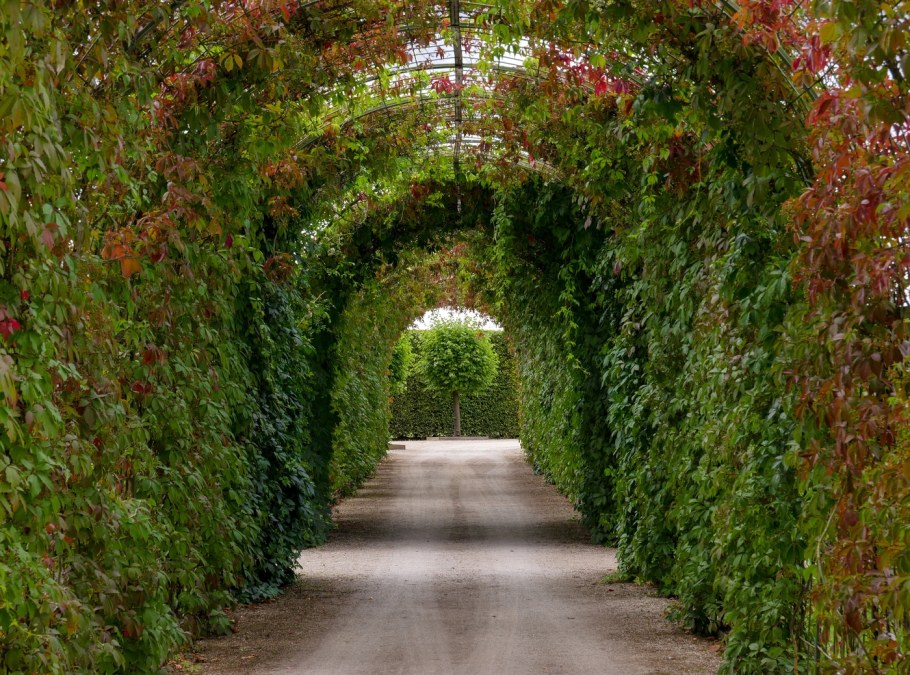 Королевский сад в Англии Берсо