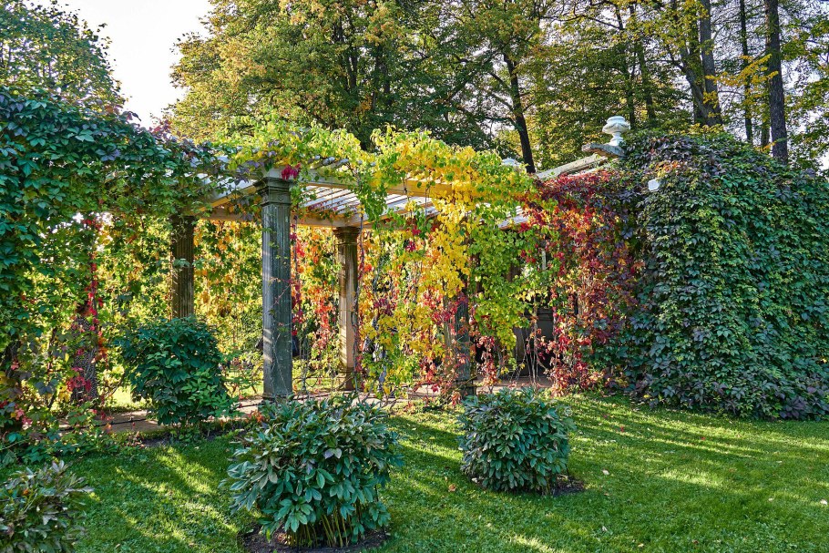 Трельяжные беседки Петергоф