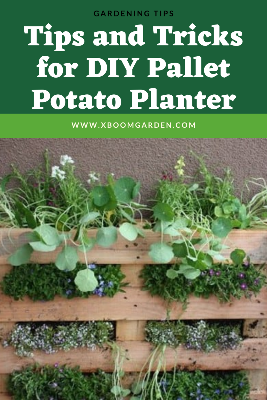 Клумба из паллет