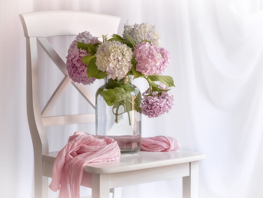 Букет гортензий Эстетика