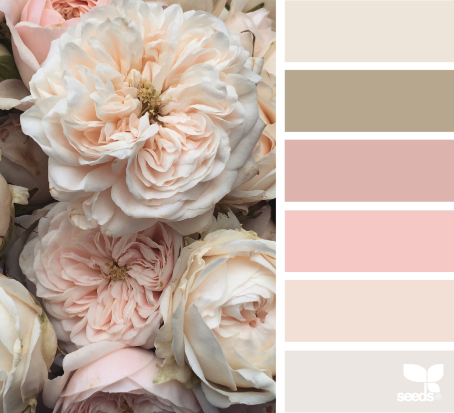 Палитра нюдовых оттенков