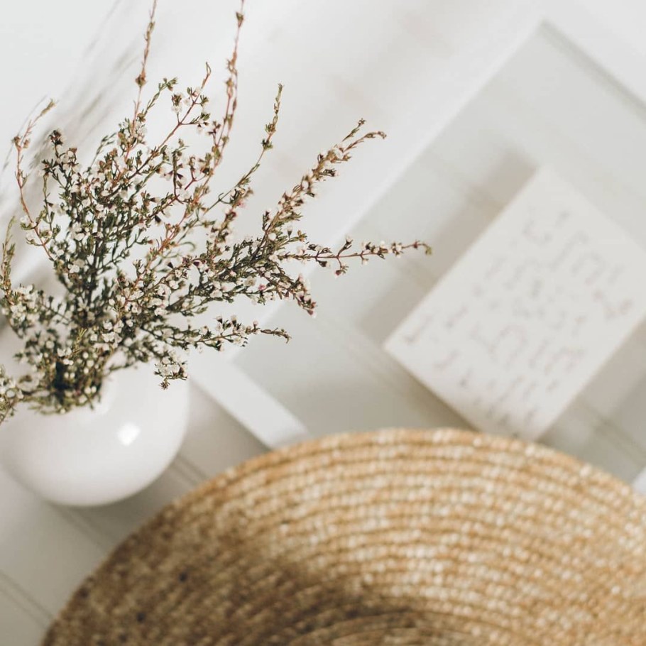 Растения для декора бежевые