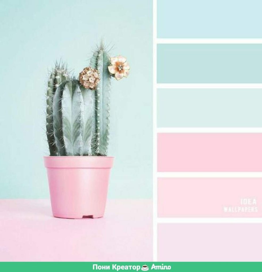 С20фе мятный