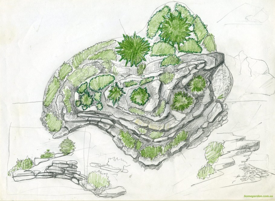 Рокарий Каменистый сад схема