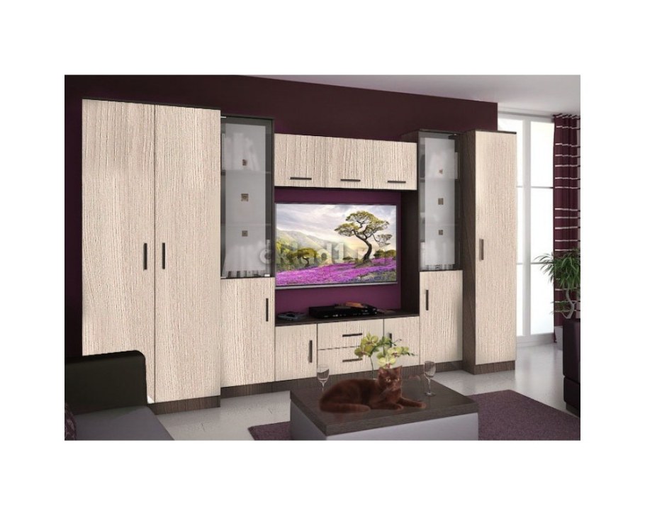 Стенка Вега 2 РИИКМ