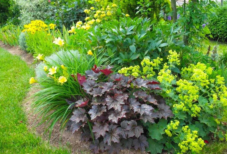 Клумбы гейхера Хоста и лилейник