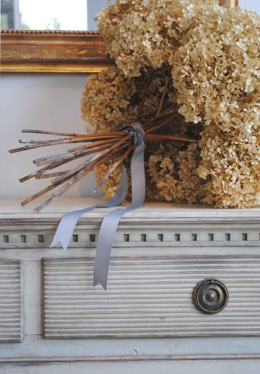 Засушенная метельчатая гортензия