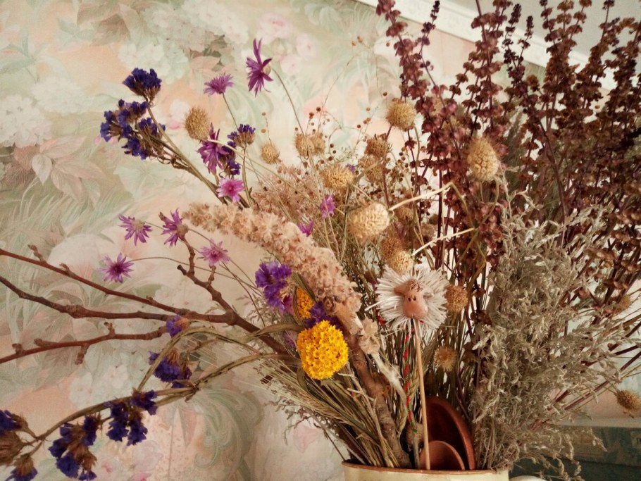 Сухоцветы 2023