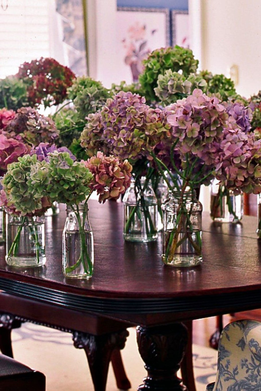 Высушенная гортензия