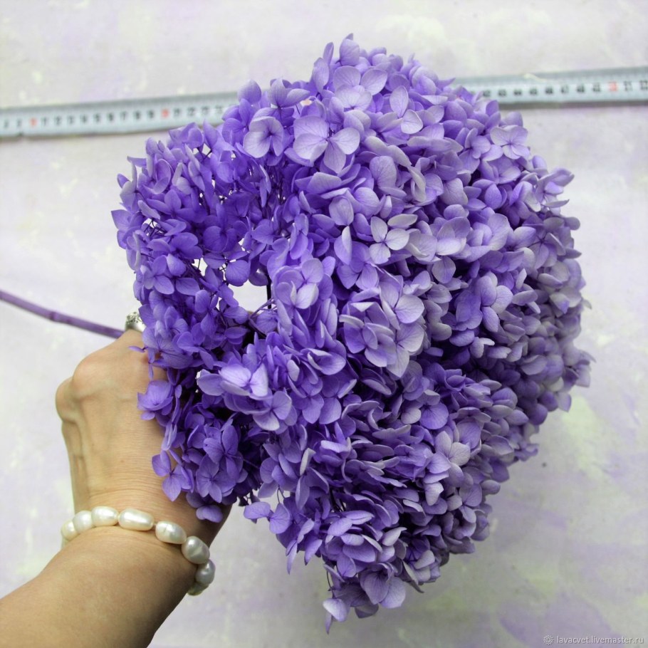 Гортензия сиреневая стабилизированная