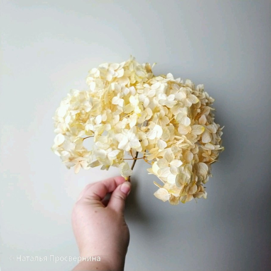 Букет из сухоцветов с гортензией