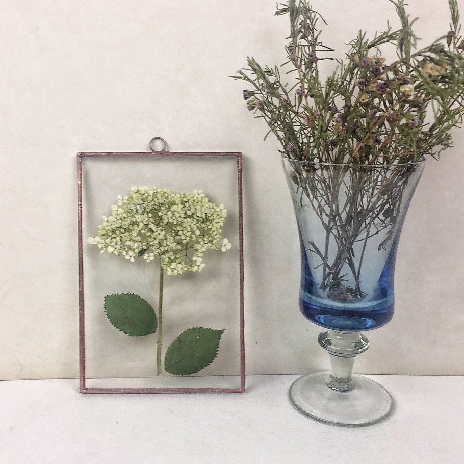 Ваза с гербарием