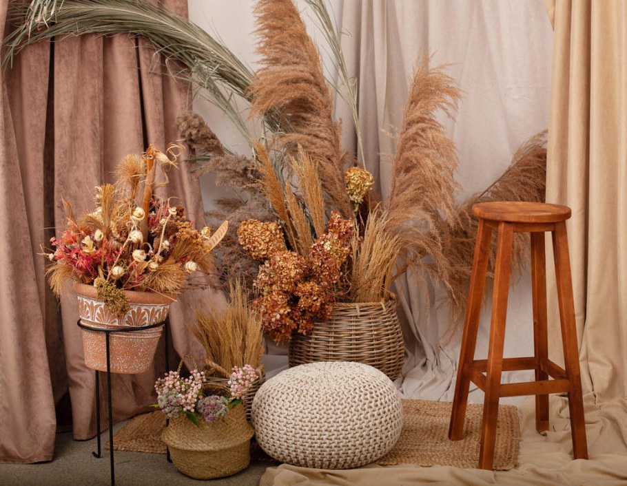 Гортензия засушенная