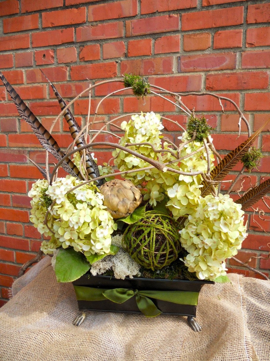 Гортензия сухоцвет