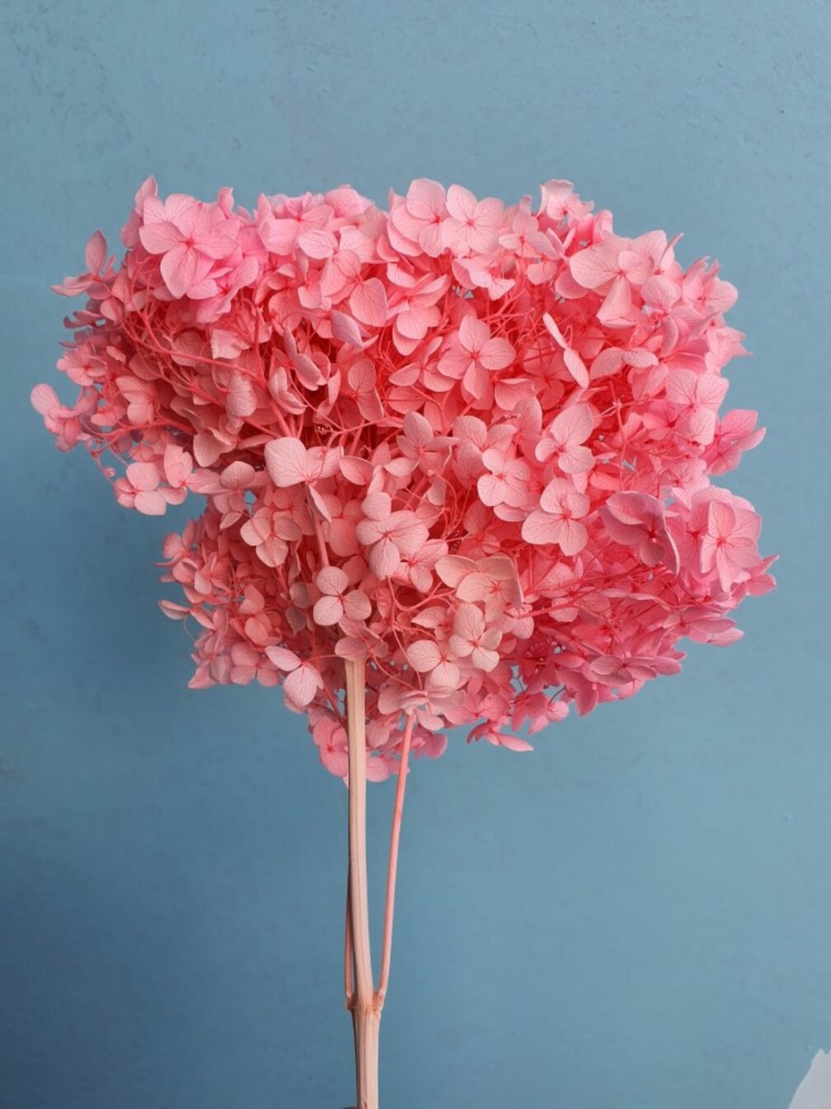 Стабилизированная гортензия АЛИЭКСПРЕСС