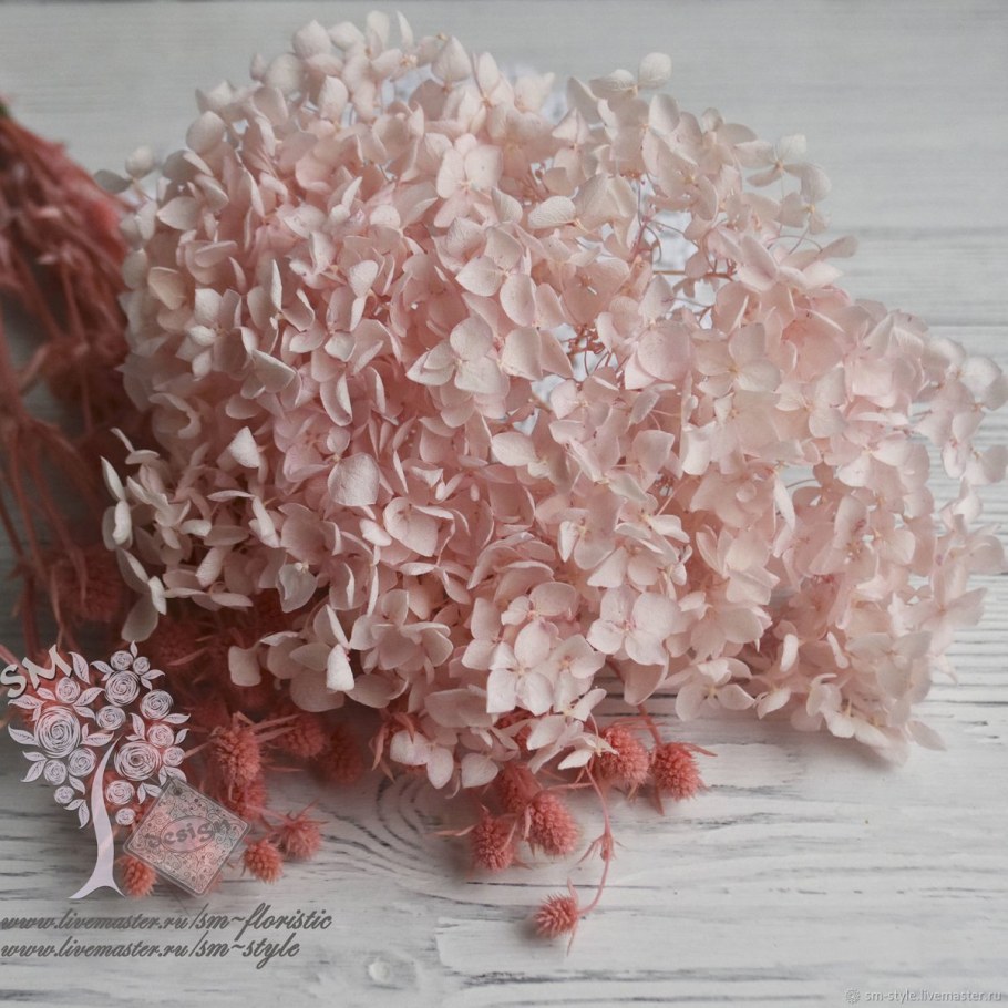 Гортензия стабилизированная сухоцвет