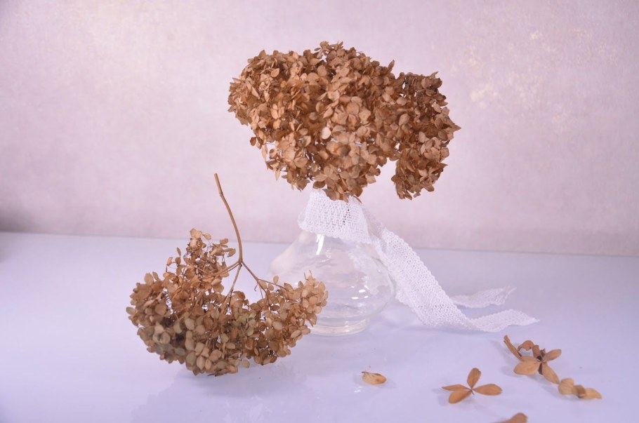 Сухоцвет гортензия в вазе голова