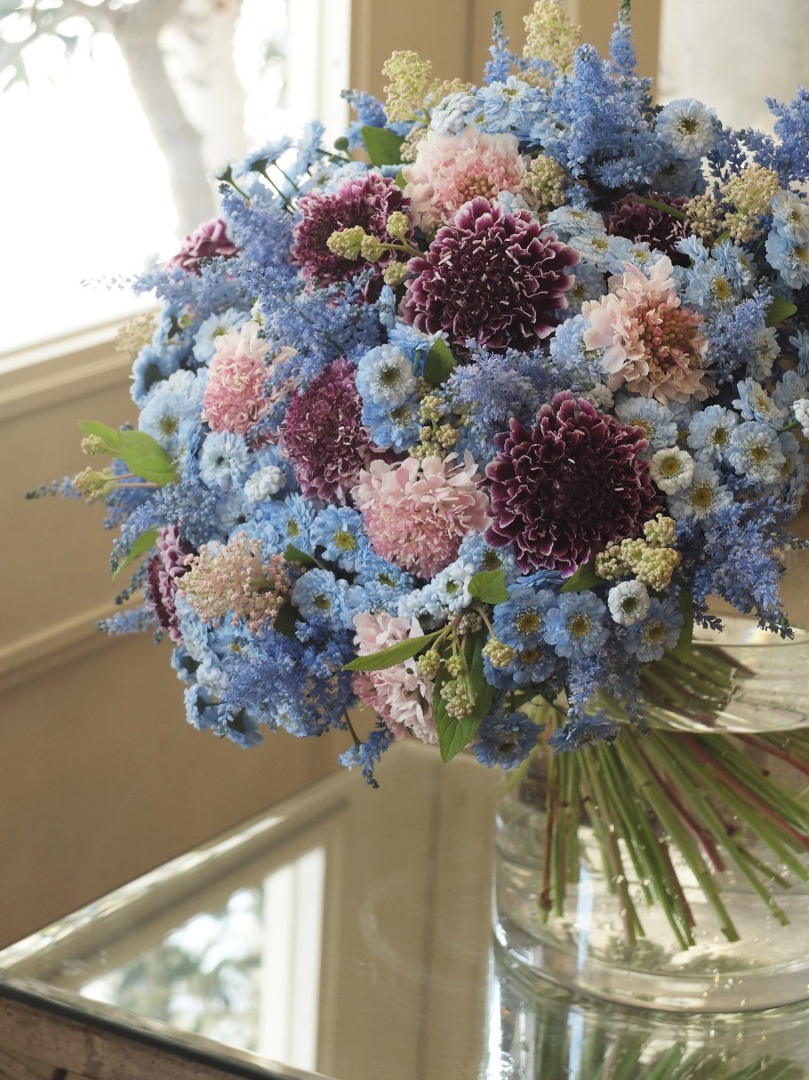 Гортензия сухоцвет