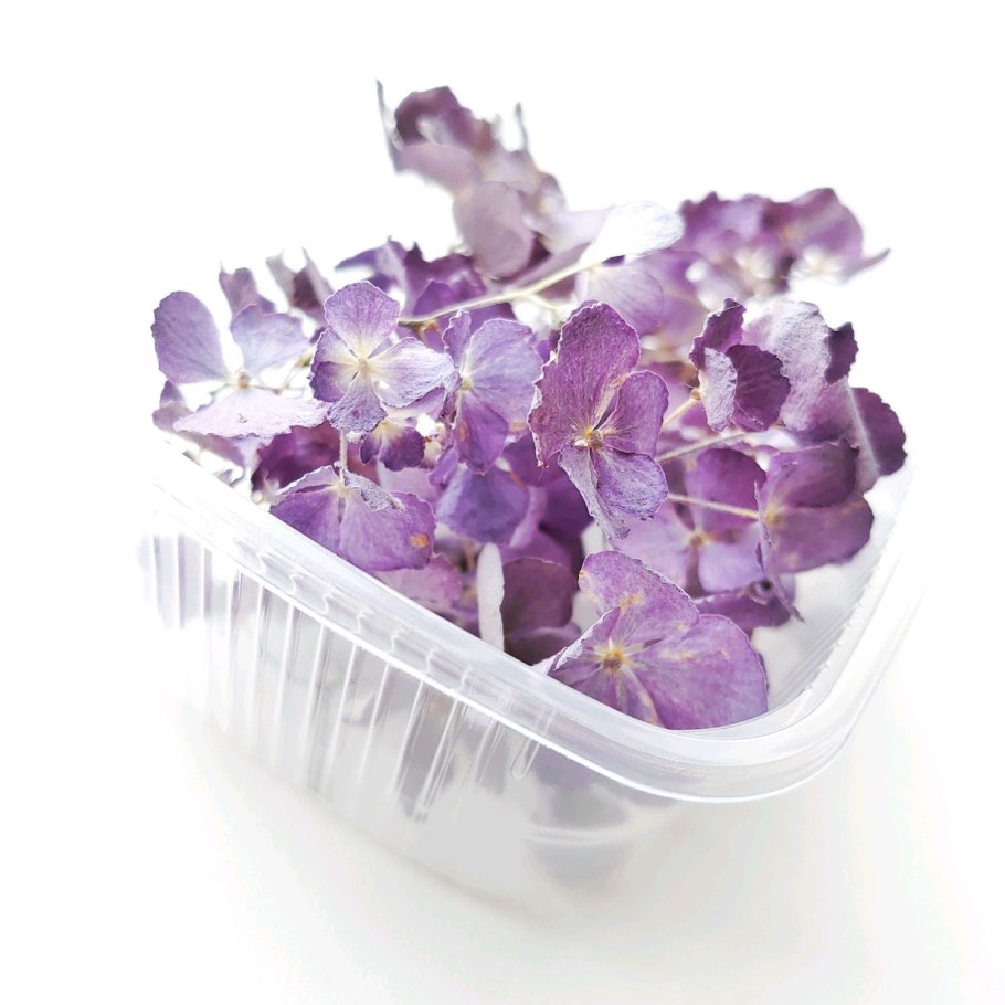 Сухоцветы гортензии для декора