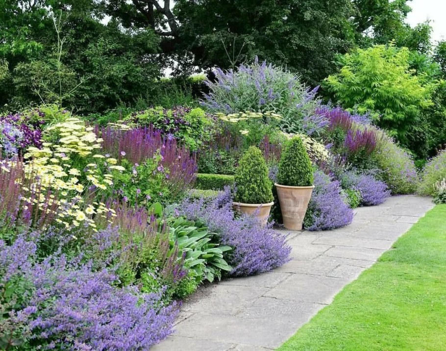 Лиатрис миксбордер