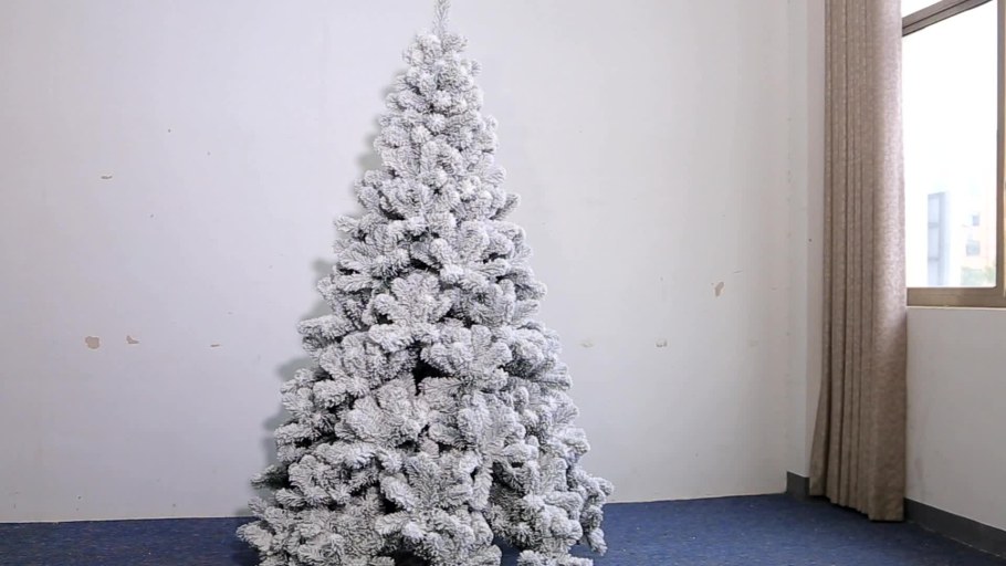 Елка Австрийская