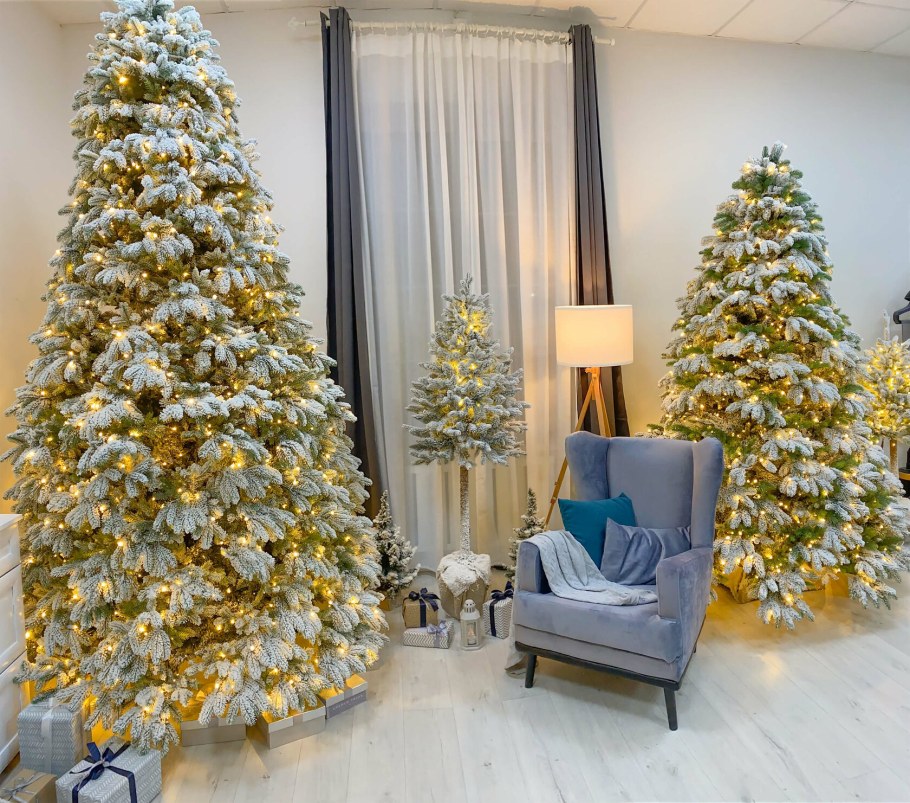 Елка элитная