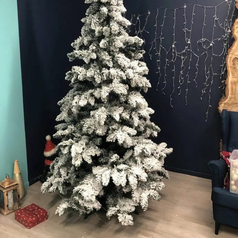 Заснеженная елка