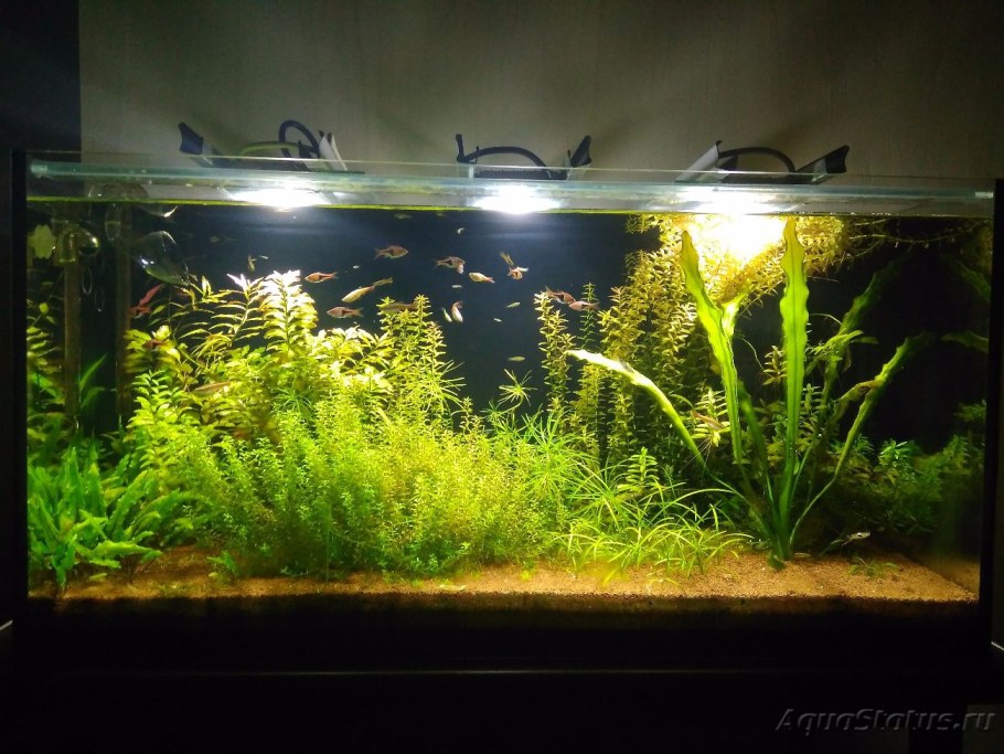 Аквариум травник 200
