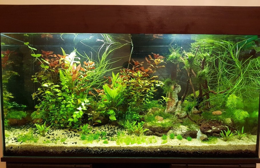 Аквариум травник 120л