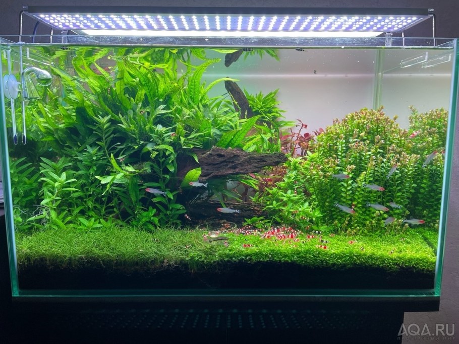 Травник 240 литров