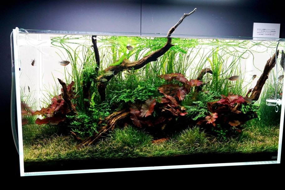 Акваскейп 30л