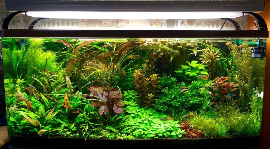 Аквариум травник 120л