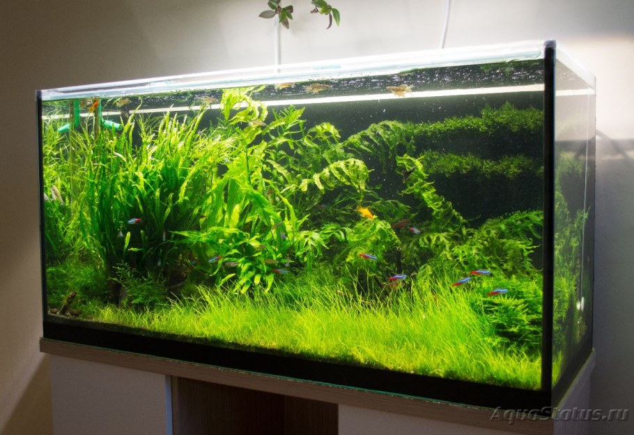 Аквариум травник 200 литров