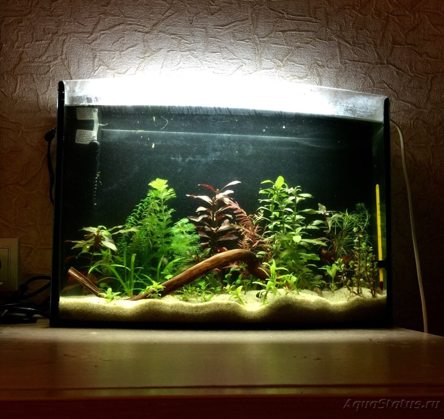 Аквариум травник 20 литров