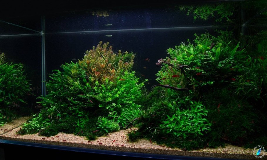 Аквариум травник 100 литров