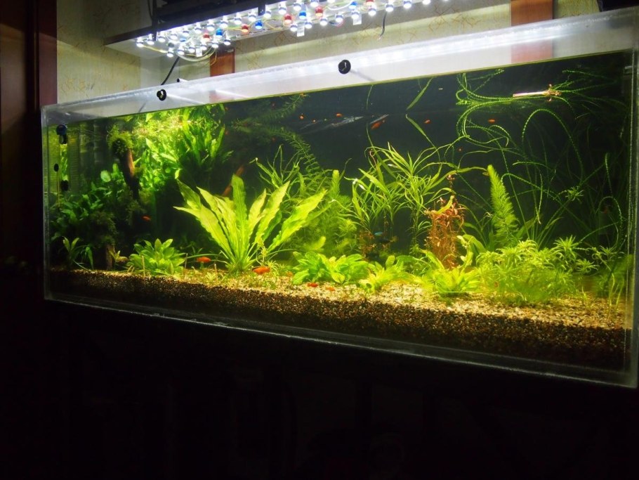 Аквариум травник 400 литров